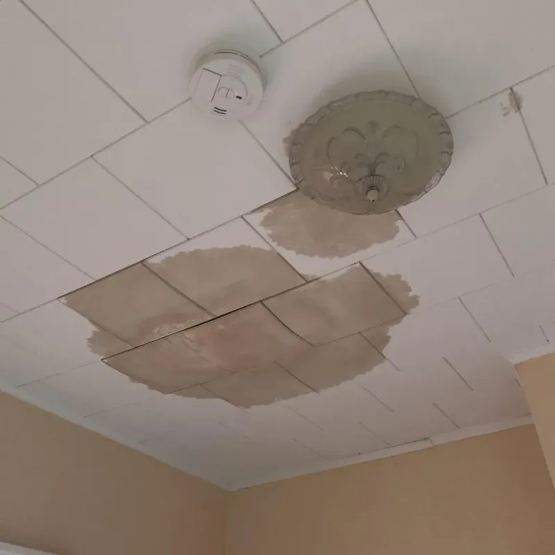 Ceiling Water Damage Repair in Billings County, ND