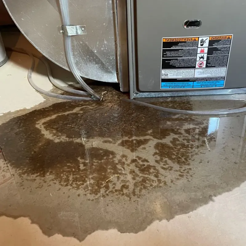 Pipe Burst and Leak Restoration in Billings County, ND