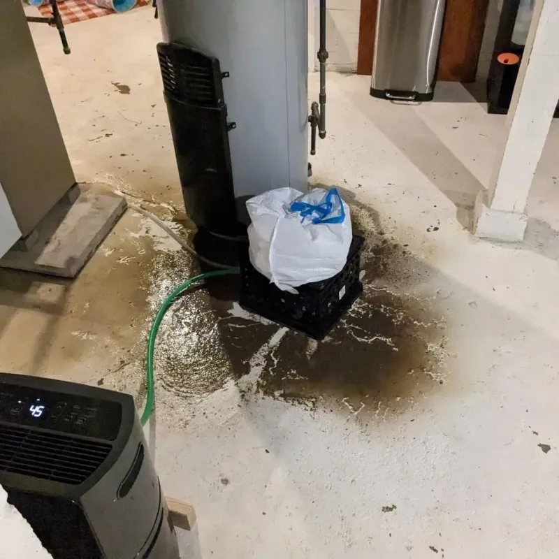 Sewage Backup Cleanup Service in Billings County, ND